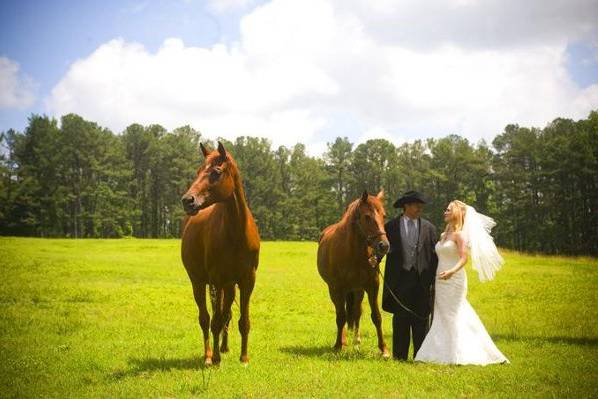 Horses, Bride and Groom, outdoor weddings