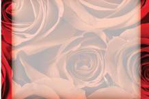 Elegant Roses Personalized Wedding Mint/Candy Book Back Image