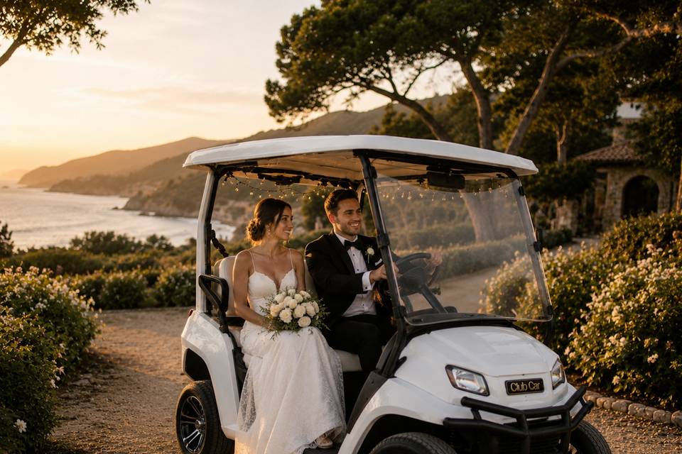 Ojai Carts