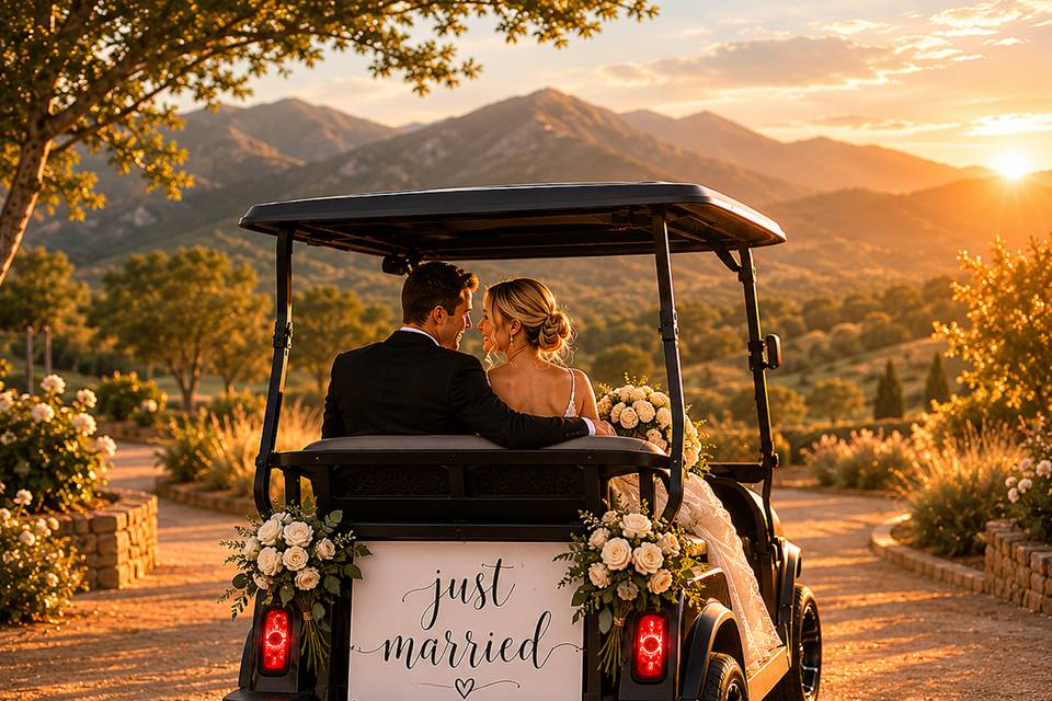 Ojai Carts