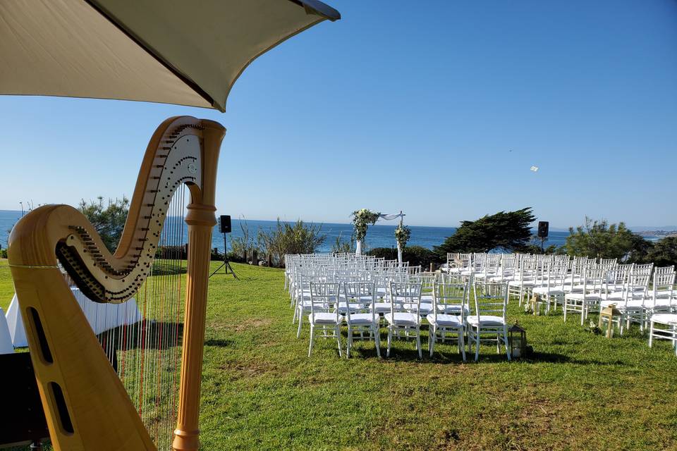 A wedding in Del Mar