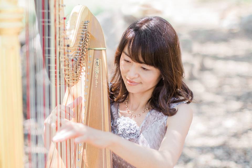 Tomoko Sato, Harpist