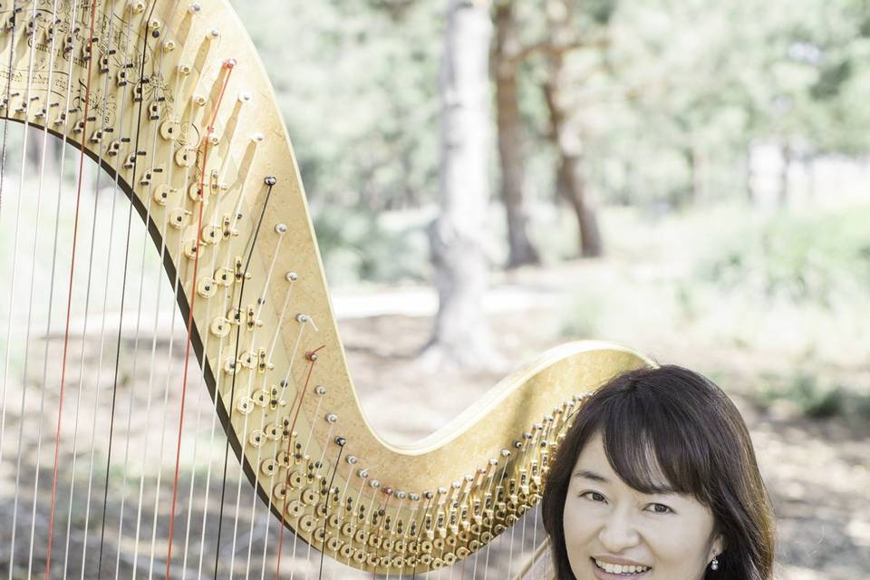 Tomoko Sato, Harpist