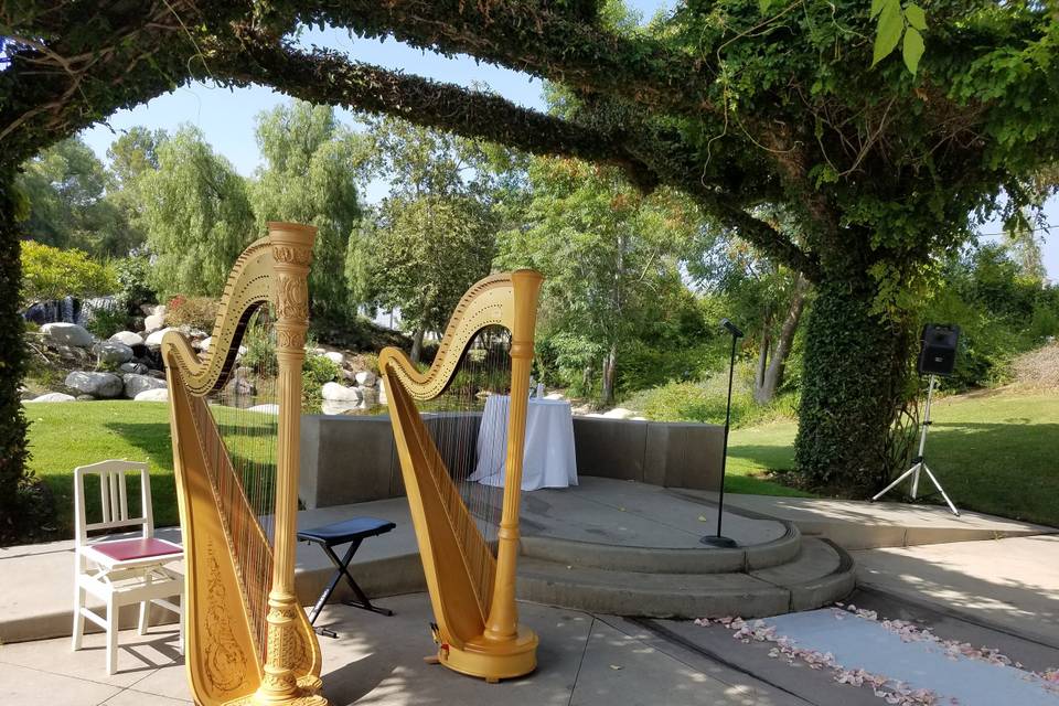 Wedding with two harps