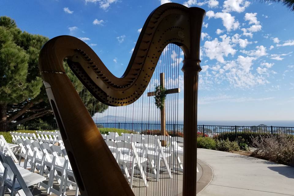 At a park wedding