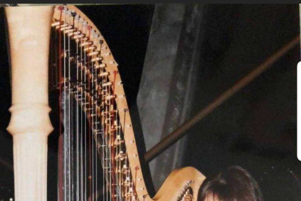 Tomoko Sato, Harpist