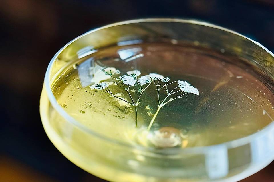 Hand Craft Cocktails