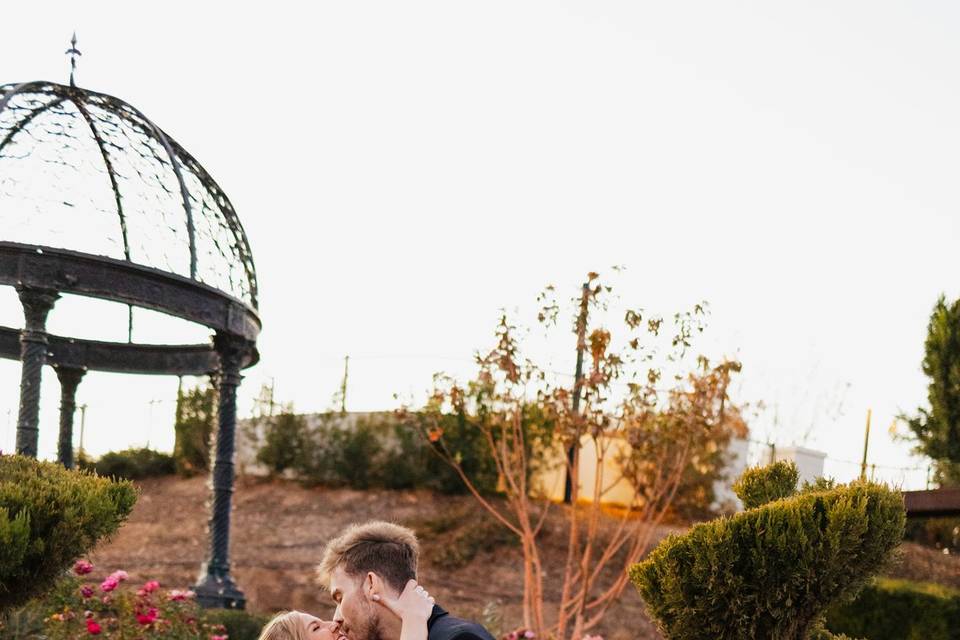 Bridals In The Garden