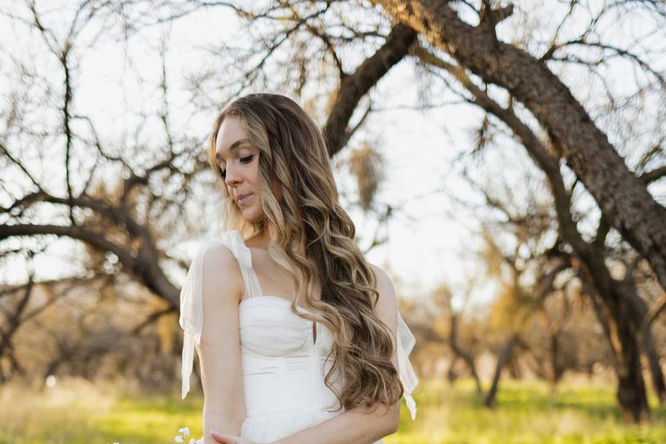 Springtime Elopement in AZ