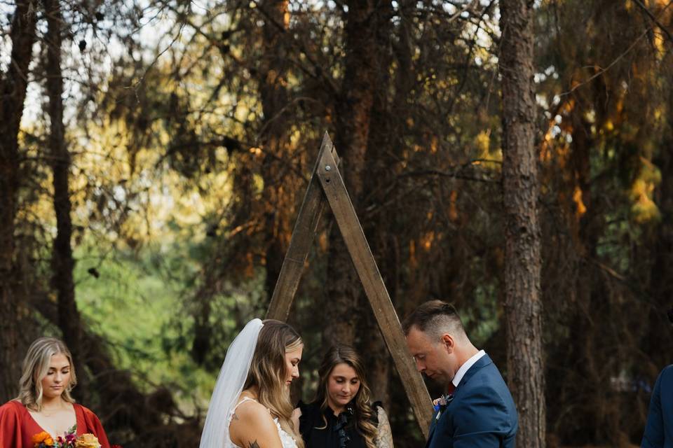 Wedding at Schnepf Farms