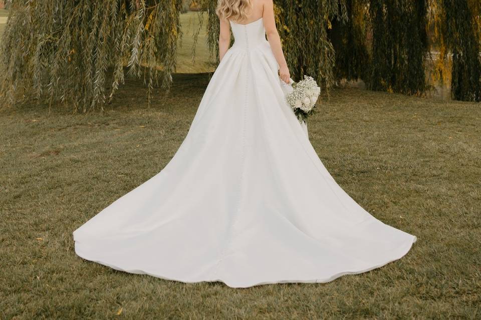 Willow Tree