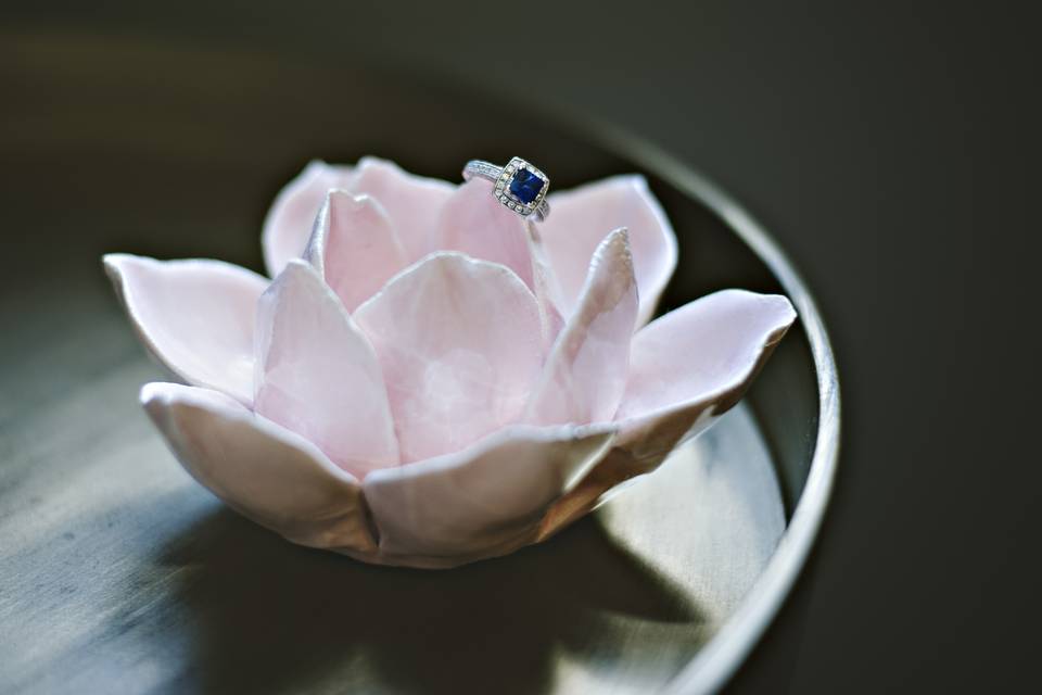 Stephanie Cobb Photography
