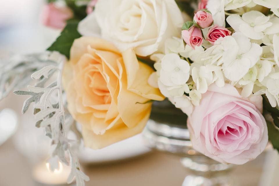 Stephanie Cobb Photography