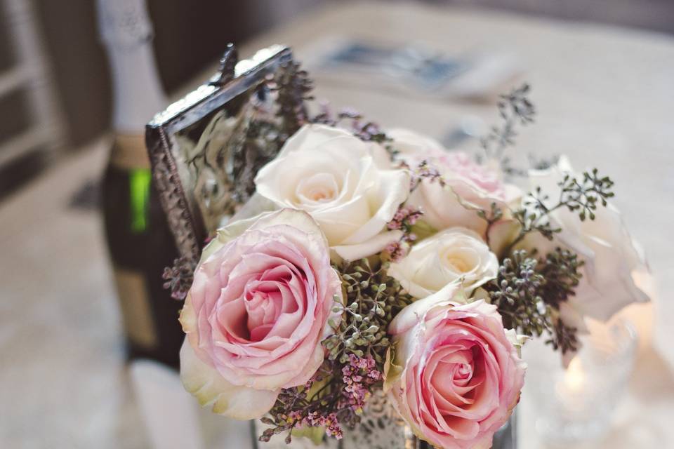 Stephanie Cobb Photography