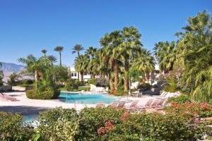 Poolside and trees