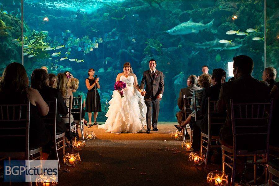 Beachfront wedding