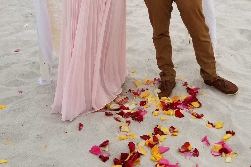 Newlywed couple at the beach