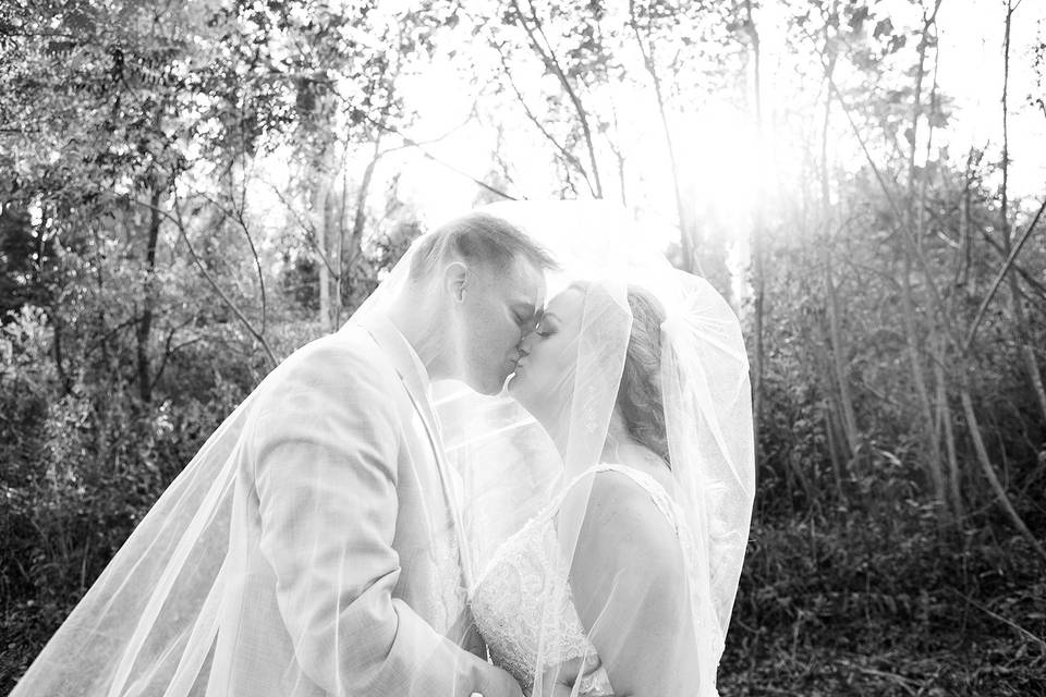 Veil in black and white