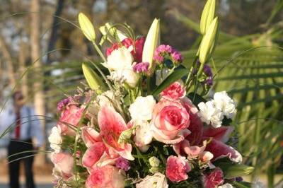 Lin Cole wedding and event planning & floral design