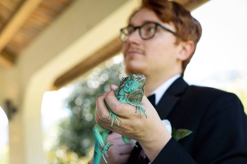 Groom's reptile