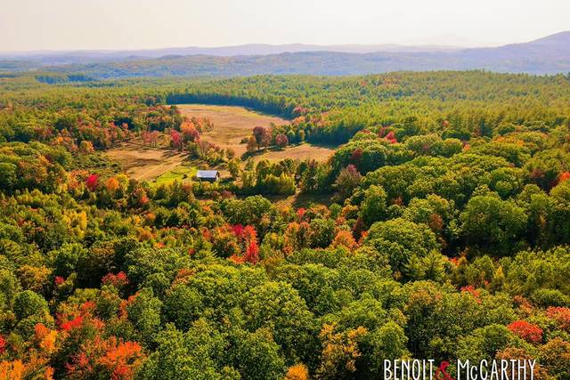 Benoit McCarthy Photography