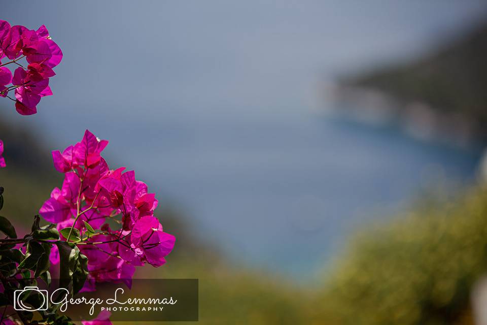 Wedding in Skopelos Sporades