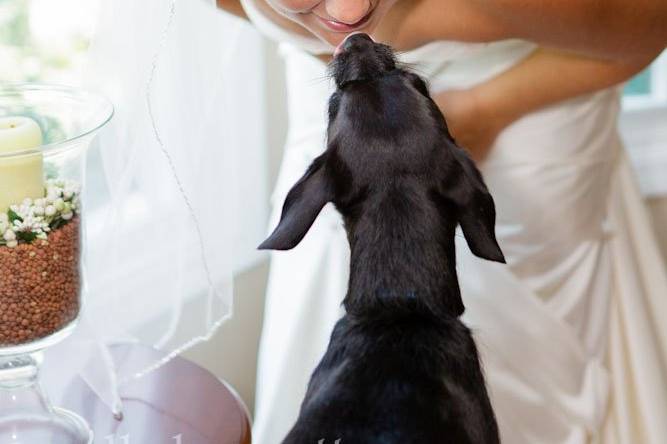 Bride