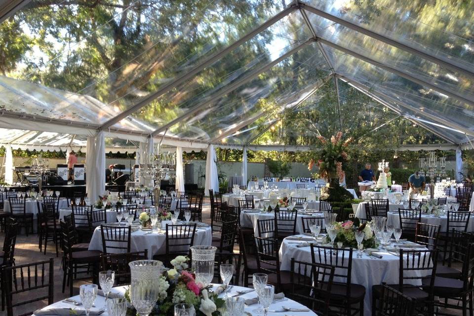 Clear top tents underneath old oak trees