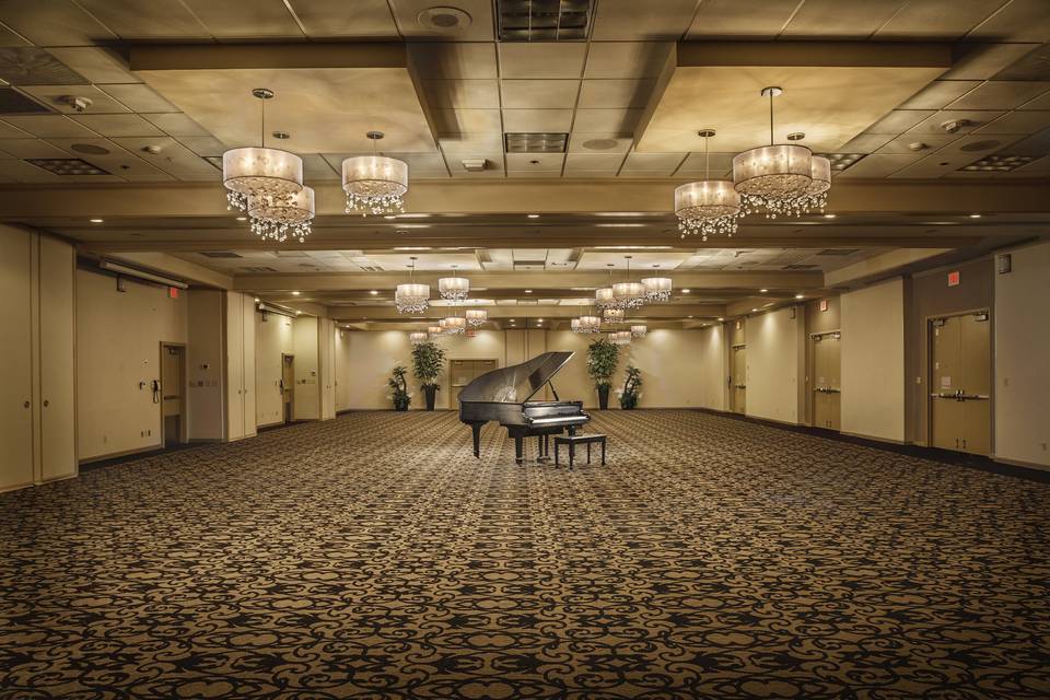Our 5400 sq.ft. Wren Ballroom can be divided into 5 different sections to accommodate events of many sizes.  Looking to stay in doors?  The ceremony can be held in one section and the reception in another!