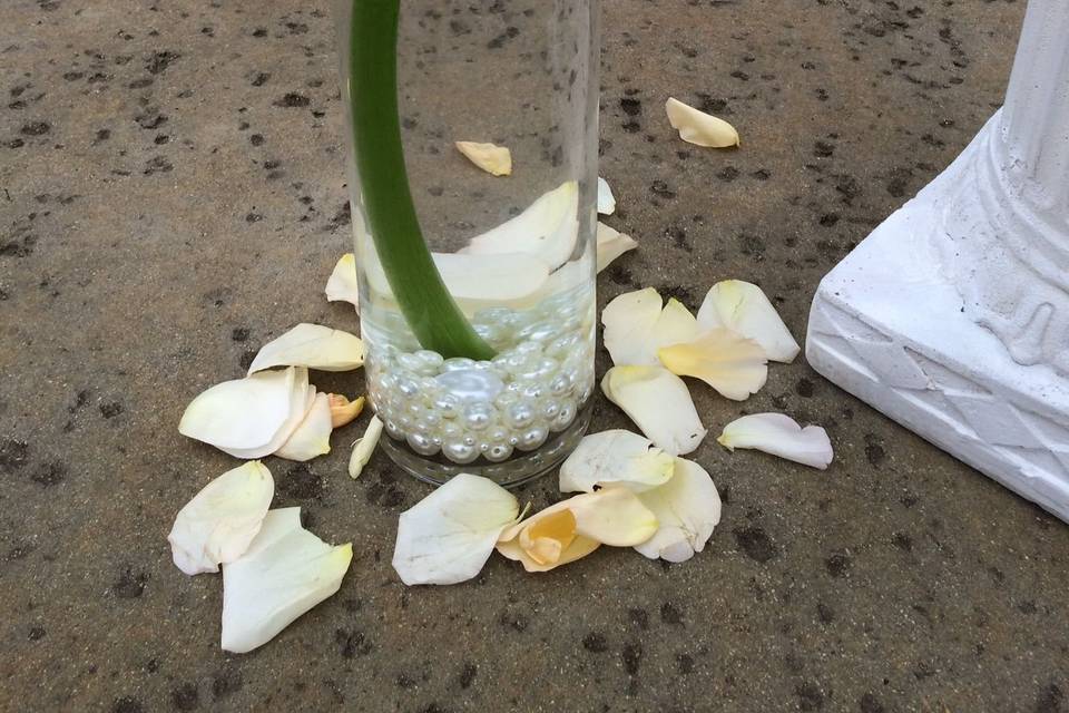 Flower inside a vase