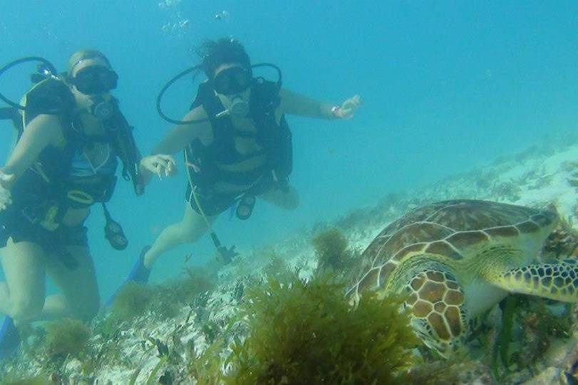 Scuba diving adventure