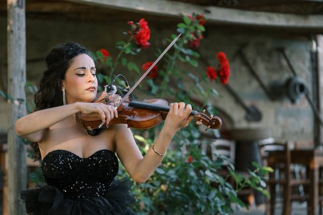Violin elegance