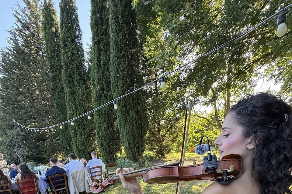 Dinner time with violin