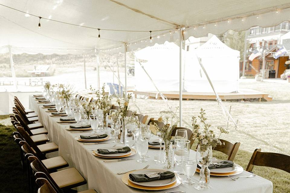 Tented Kings Table Setting