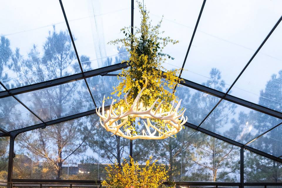 Tented Reception