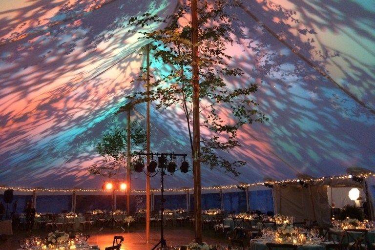 Forest look