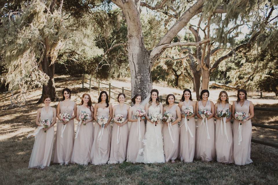 The bride with her bridesmaids