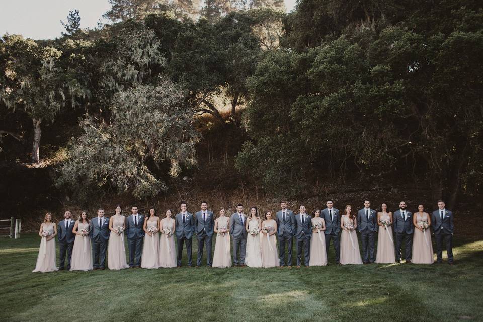 The couple with the bridesmaids and groomsmen