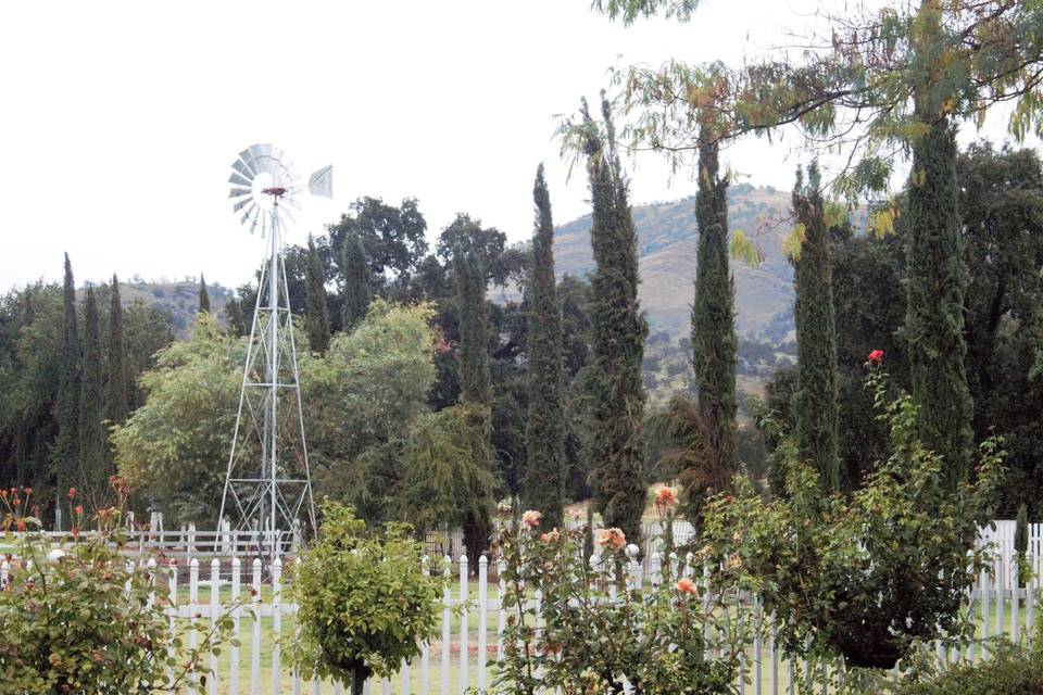 Windmill and garden