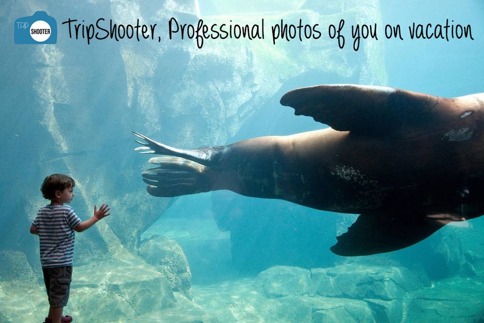 TripShooter, Professional photos of you on honeymoon