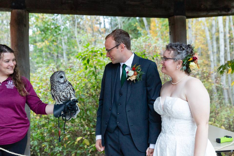 Raptors - Laura Schmitt Photo