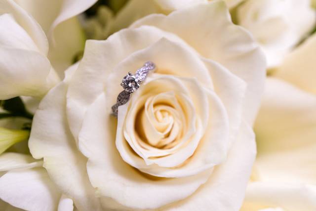 Larry Miller Photography