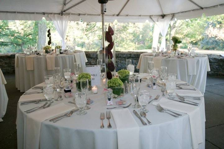 Table setup with centerpiece