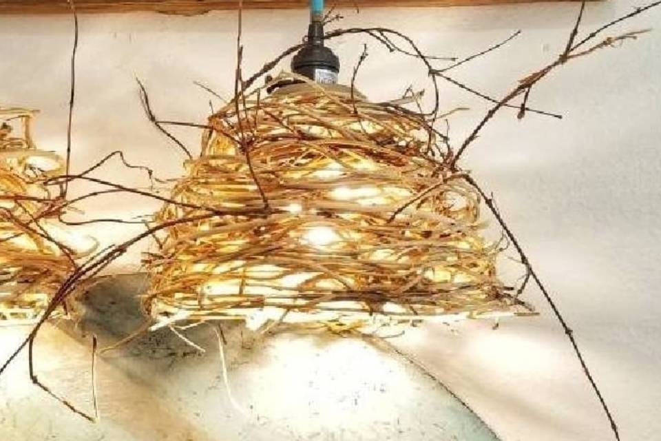Broken Branch designs