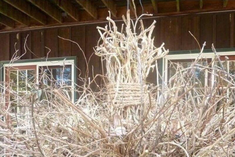 Broken Branch designs
