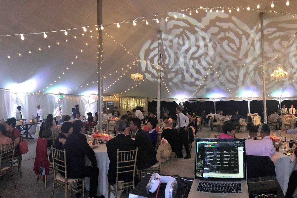 DJ/Lighting Services