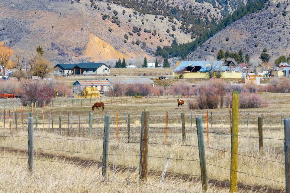 Wyoming Mountain Views