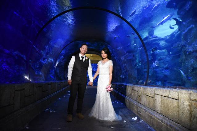 Wedding couple