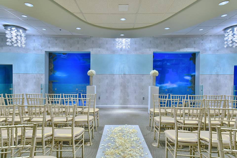 wedding in mandalay bay shark