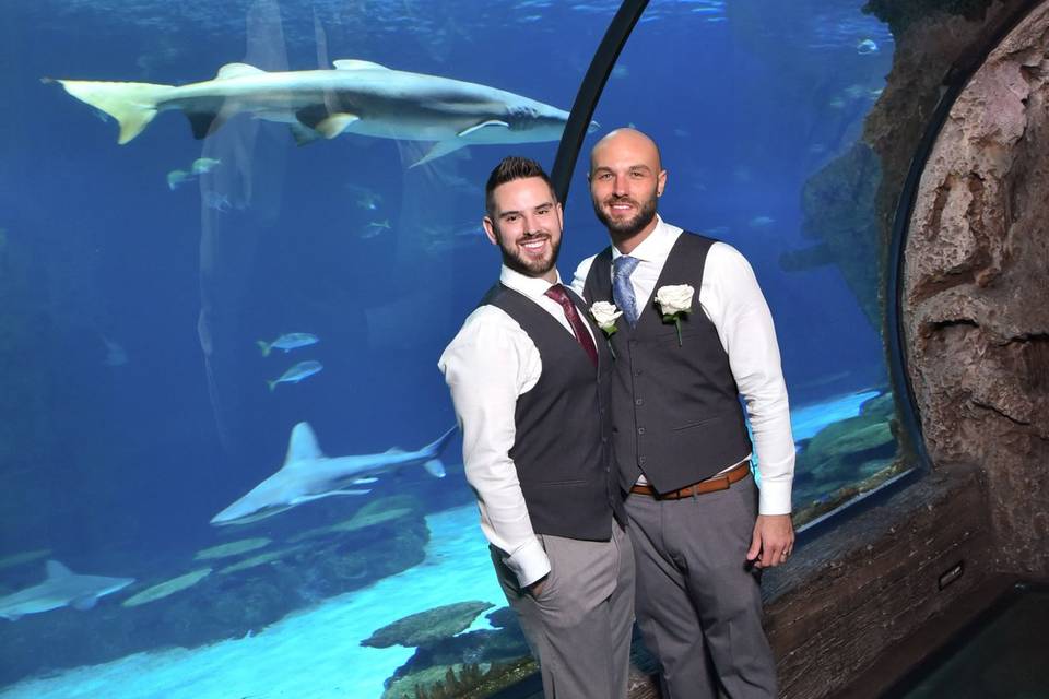 Weddings by Mandalay Bay